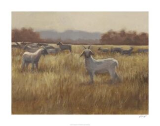 Grazing Goats I