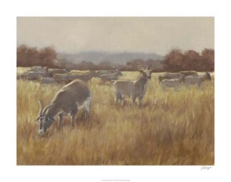 Grazing Goats II