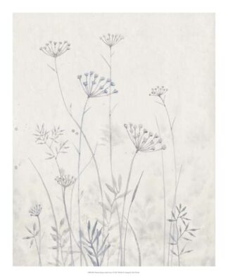 Neutral Queen Anne's Lace I