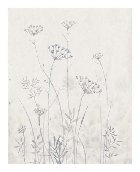 Neutral Queen Anne's Lace I