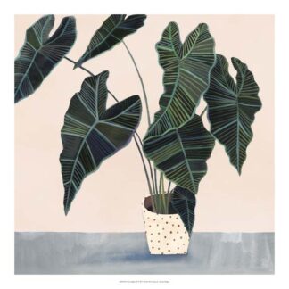 Houseplant II