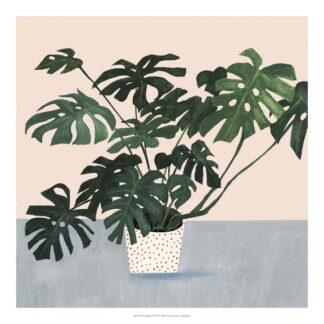 Houseplant III