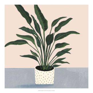 Houseplant IV