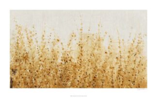 Ochre Fields II