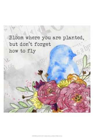 Bloom & Fly II