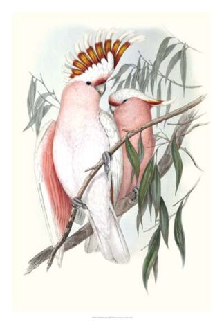 Pastel Parrots I