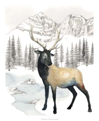 Winter Elk I