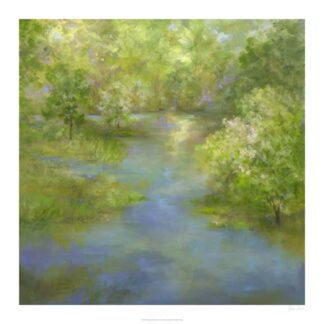 Spring Lake Reflections