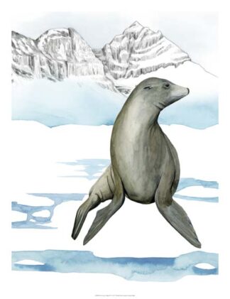 Arctic Animal IV