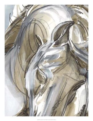 Horse Abstraction I