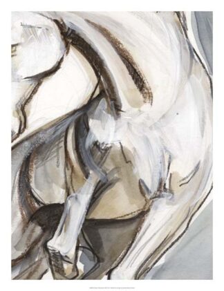 Horse Abstraction II