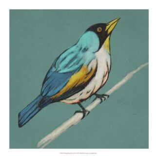 Winged Sketch II on Teal