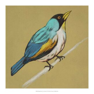 Winged Sketch II on Ochre