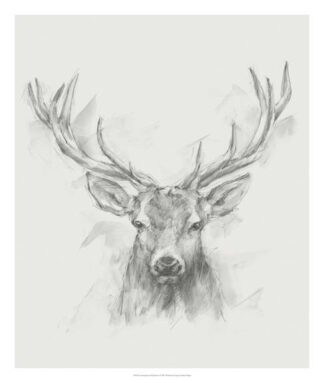 Contemporary Elk Sketch I