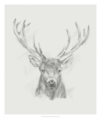 Contemporary Elk Sketch II