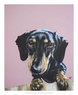 The Constant Visitor