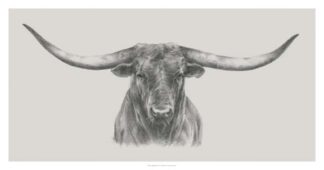 Longhorn Bull