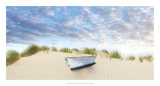 Beach Photography III