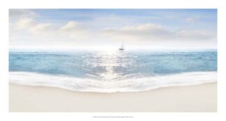 Beach Photography VIII