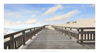 Beach Photography XI