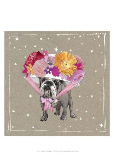 Fancypants Wacky Dogs IV