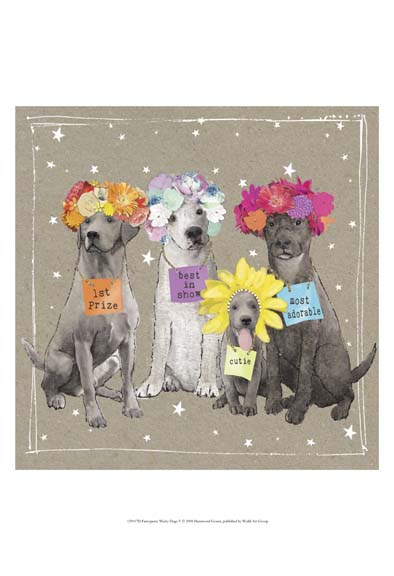 Fancypants Wacky Dogs V