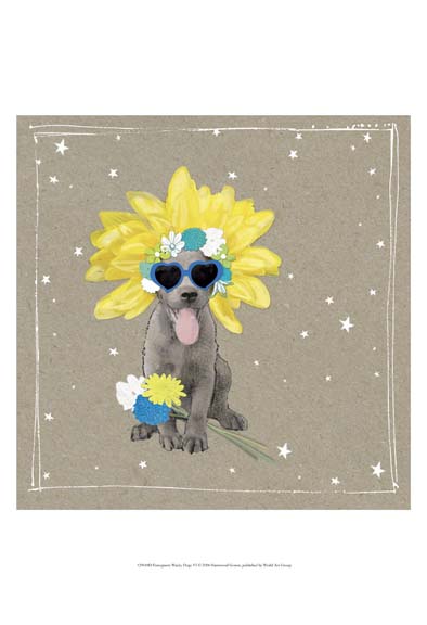 Fancypants Wacky Dogs VI