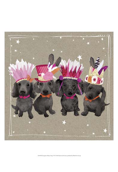 Fancypants Wacky Dogs VII