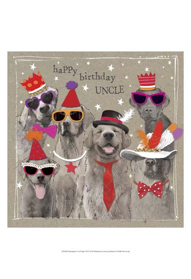 Fancypants Cool Dogs VII