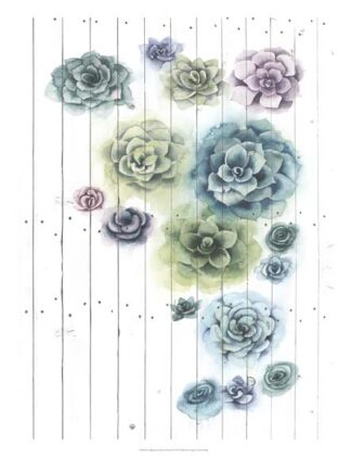 Shiplap Succulent Cluster I