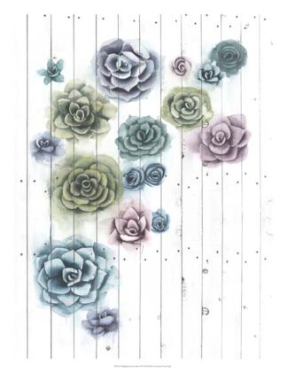 Shiplap Succulent Cluster II