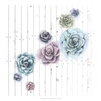 Shiplap Succulent Cluster III