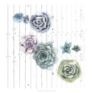 Shiplap Succulent Cluster IV