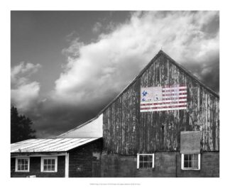 Flags of Our Farmers VII