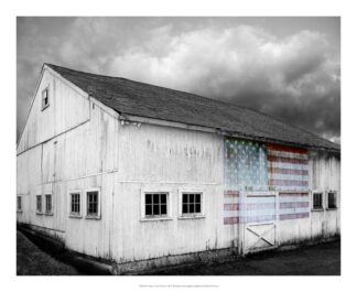 Flags of Our Farmers VIII