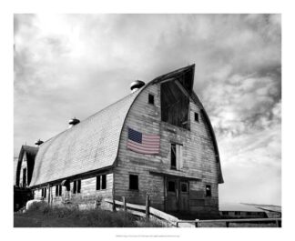 Flags of Our Farmers X