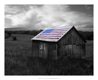 Flags of Our Farmers XII