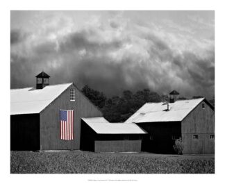 Flags of Our Farmers XV