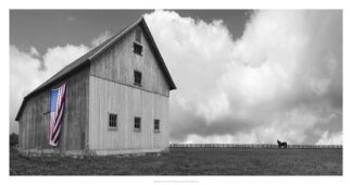 Flags of Our Farmers XVI
