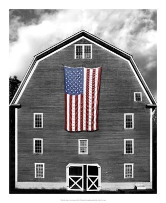 Flags of Our Farmers XIX