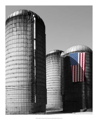 Flags of Our Farmers XX