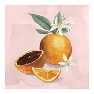 Orange Blossom I