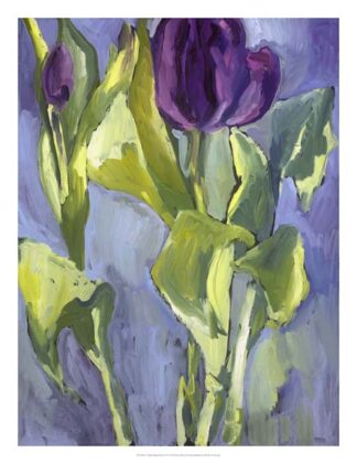 Violet Spring Flowers II