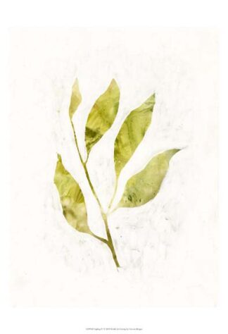 Sapling IV