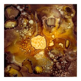 Chestnut Illumination I