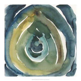 Peacock Reflection II