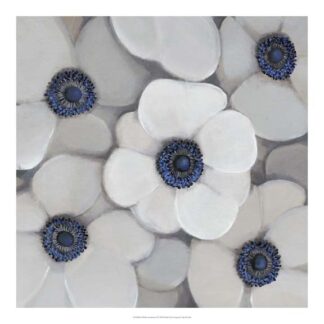 White Anemone I