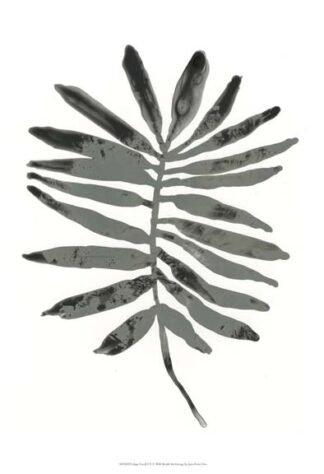 Foliage Fossil VII