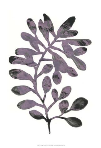 Foliage Fossil VIII