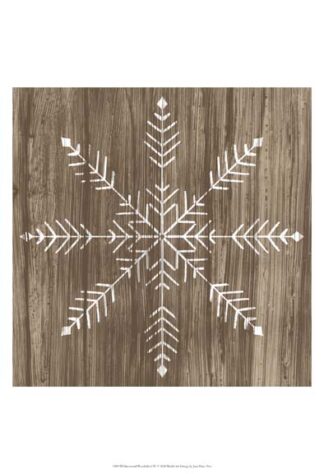 Barnwood Wonderland IV